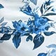 Blue and White