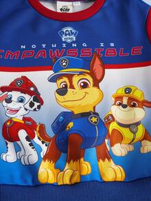 SHEIN | PAW Patrol Bluza z dzianiny raglanowej z okrągłym dekoltem i nadrukiem w kolorowe bloki dla chłopców, jesień/zima