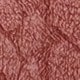 Coral Pink