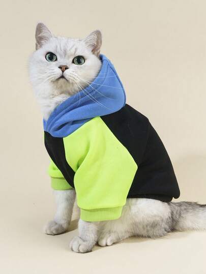 PETSIN Color Block Pet Hoodie
