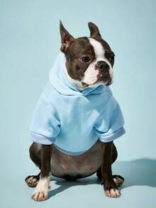 PETSIN 1pc Butterfly Print Hooded Cute Pet Sweatshirt - Blue - View 6