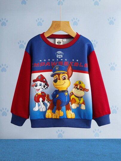 SHEIN | PAW Patrol Young Boy Cartoon Cool Puppy Print Knit Raglan Colorblock Crew Neck Sweatshirt, Autumn/Winter Fall