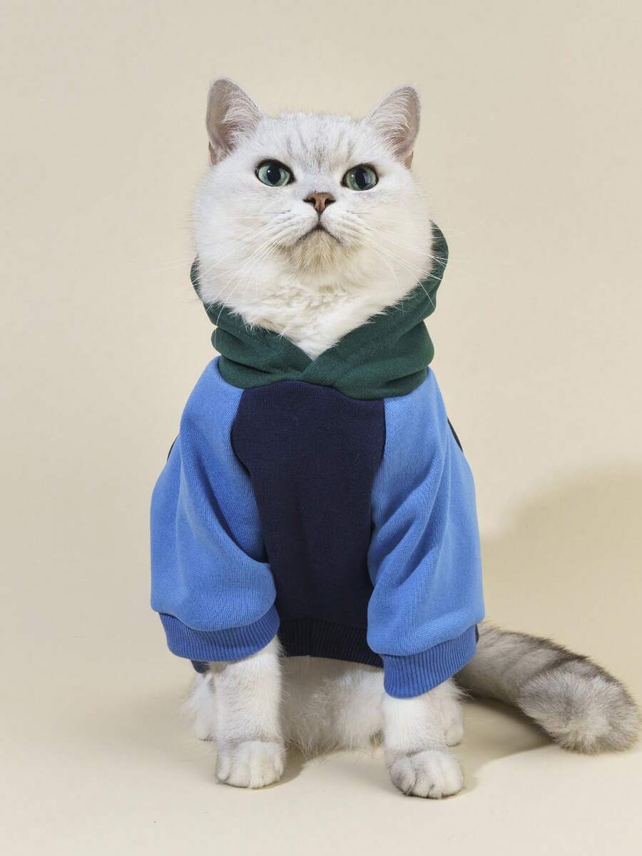 PETSIN Áo hoodie in chữ cho thú cưng - Nhiều màu - Xem 1