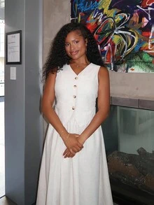 Tyla Gomez 女士夏季休闲纯色V领背心和裙子两件套亚麻 - 米色 - 查看 6