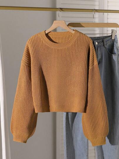 Sparklyn 纯色休闲宽松套头衫女圆领秋冬新款百搭针织上衣短款