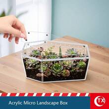 SHEIN 1PC 透明亚克力昆虫蜘蛛繁殖盒，独特的棺材形设计，磁性闭合，方便取用，通风孔，适用于蜘蛛、跳蛛、狼蛛栖息地，万圣节装饰，节日礼物，也适用于玻璃容器、盒子、植物盒、家庭储物盒、微景观盒 - 彩色 - 查看 8