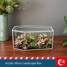 SHEIN 1PC 透明亚克力昆虫蜘蛛繁殖盒，独特的棺材形设计，磁性闭合，方便取用，通风孔，适用于蜘蛛、跳蛛、狼蛛栖息地，万圣节装饰，节日礼物，也适用于玻璃容器、盒子、植物盒、家庭储物盒、微景观盒 - 彩色 - 查看 7