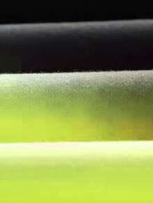 EMERY ROSE 新品畅销渐变色常规版型女式加大码圆领卫衣 - 綠色 - 查看 3