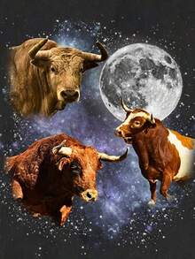 Manfinity Dauomo 热销街头潮流复古科幻宇宙奶牛印花男士圆领T恤 - 彩色 - 查看 4