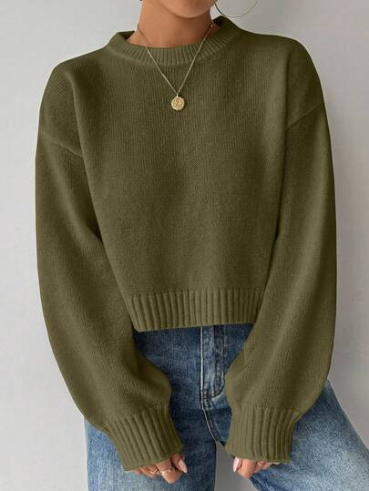 Elyressa Tropiluxe 女式纯色简约休闲圆领长袖白色毛衣