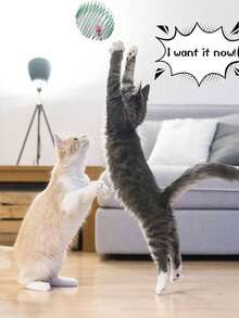 PETSIN 1/2/5pc Random Color Cat Toy Spring Design Cage With Mouse Shaped Adorable Appearance Perfect For Cat Play