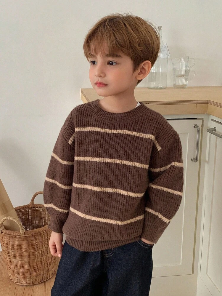 Young Boy Striped Round Neck Drop Shoulder Long Sleeve Casual Loose Sweater, Autumn/Winter