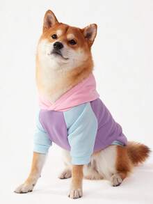 PETSIN 1 件三色撞色插肩袖休闲连帽运动衫，适合宠物 - 彩色 - 查看 4