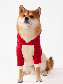 PETSIN 1pc Pet Universal Burgundy & Apricot Color Block Raglan Hoodie - Multicolor - View 2