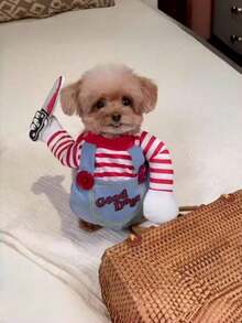 狗狗宠物服装——万圣节、圣诞节和派对趣味角色扮演服装，适合中小型犬 - 紅色 - 查看 7