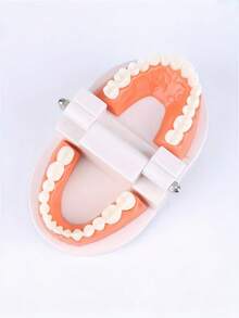 1 件牙科模型玩具智能互动刷牙教学辅助口腔护理教育工具适用于家庭学校学生教师白色多色可选牙齿卫生演示器 - 彩色 - 查看 6