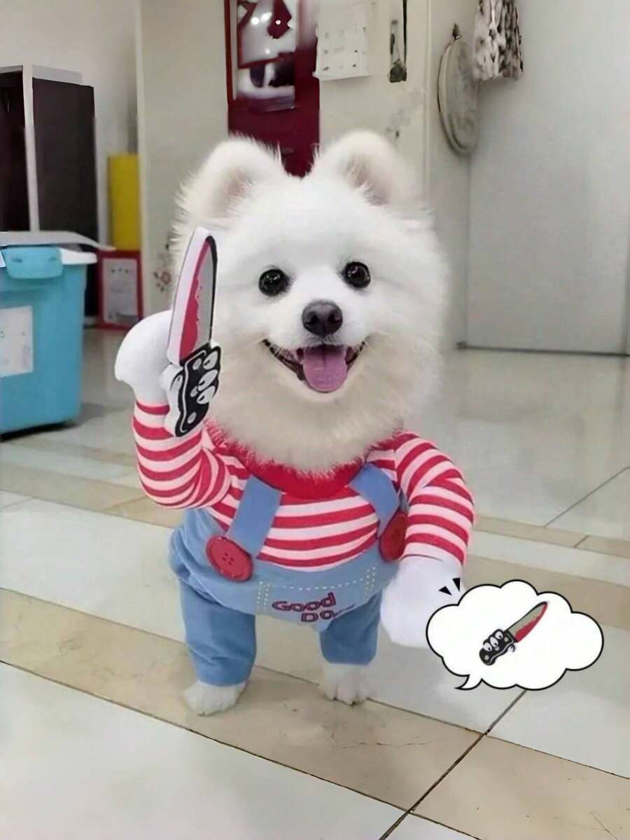 狗狗宠物服装——万圣节、圣诞节和派对趣味角色扮演服装，适合中小型犬 - 紅色 - 查看 1