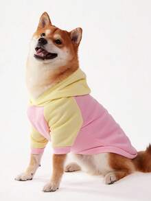 PETSIN 1pc Pet Colorblock Raglan Sleeve Casual Hoodie Sweatshirt - Multicolor - View 5