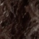 S2