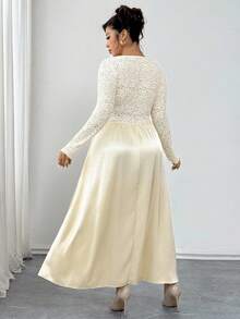 Elenzga 大码女式长款蕾丝网布拼缎腰收腰长袖优雅连衣裙，杏色，适合秋冬季下午茶 - 杏色 - 查看 2