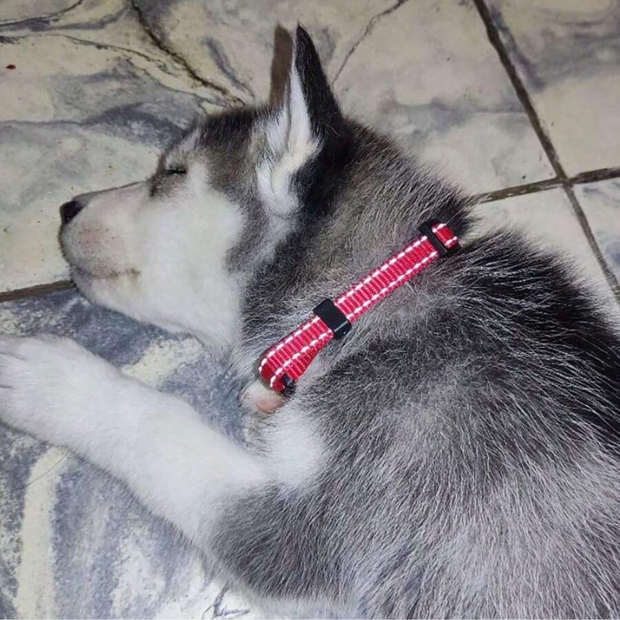 1pc Reflective Paw Print Decor Nylon Pet Collar For Large/Medium/Small Dogs, Adjustable Size