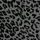 MultiWarna
