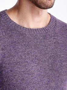 Manfinity CityGents 男士休闲简约圆领长袖毛衣，日常穿着，秋冬 - 紫色 - 查看 2