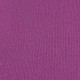Violet Purple