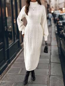 SHEIN Clasi Textured Turtleneck Waist Cinched Knit Dress Autumn Winter Clothes For Women