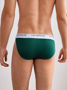 SHEIN Men's Comfortable Soft Sexy Letter Waistband Briefs - Dark Green - View 2