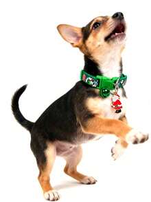 PETSIN 1 件宠物圣诞系列项圈；雪花印花铃铛项圈；圣诞系列吊坠项圈；宠物项圈；宠物用品。 - 彩色 - 查看 14