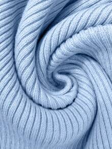 SHEIN Clasi Damen Große Größen einfarbiger Raglanärmel anliegender Pullover, Herbst/Winter - Blau - View 6