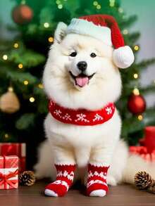 PETSIN 1款宠物卡通袜子，圣诞袜（圣诞老人、驯鹿、雪人图案），防滑爪套，防滑防污，圣诞宠物用品 - 彩色 - 查看 2