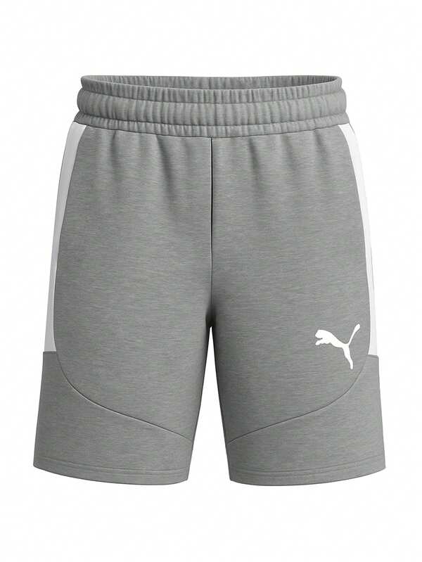Puma TeamEVOSTRIPE Men's Shorts Grey