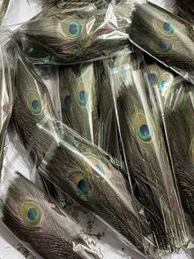 25Pcs/50Pcs Peacock Feather In Bulk, Faux Peacock Feather Decorated For Vase Craft Vase Wedding Home Party Christmas Day Decoration Peacock Feathers