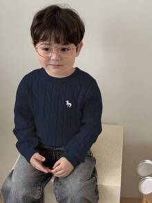 DAZY 幼儿男童圆领麻花针织扭纹卡通刺绣纯色毛衣