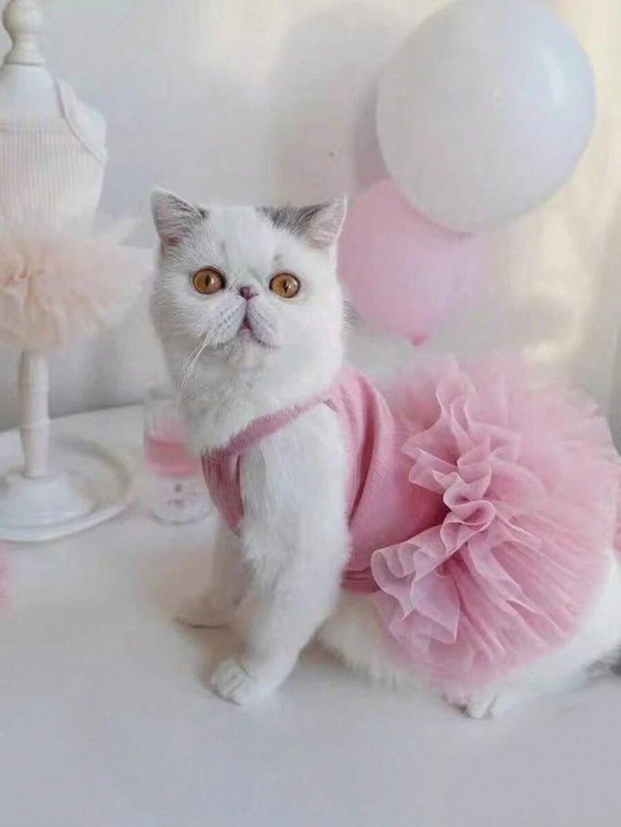 1 件宠物公主裙，粉色网眼裙设计，柔软舒适的宠物裙，适合猫狗摄影服装