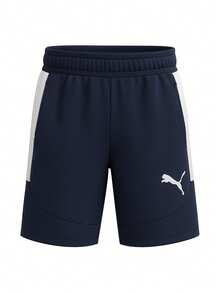 Puma TeamEVOSTRIPE Men's Shorts Blue - Blue - View 1