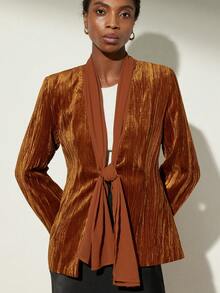 Aveloria Modichic Textured Velvet Collar Splice Chiffon Commuter Elegant Minimalist Blazer - Multicolor - View 4