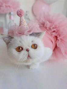 1 件宠物公主裙，粉色网眼裙设计，柔软舒适的宠物裙，适合猫狗摄影服装