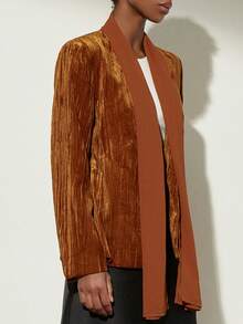 Aveloria Modichic Textured Velvet Collar Splice Chiffon Commuter Elegant Minimalist Blazer - Multicolor - View 2