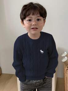 DAZY 幼儿男童圆领麻花针织扭纹卡通刺绣纯色毛衣