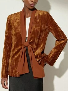 Aveloria Modichic Textured Velvet Collar Splice Chiffon Commuter Elegant Minimalist Blazer - Multicolor - View 3