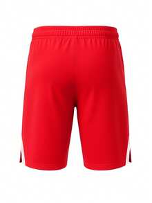 Nike Team Men's Volleyball Shorts Red - Red - View 2