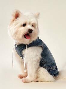 PETSIN 1pc New Hooded Harness Vest, Suitable For Small Dogs Like Poodle, Bichon Frise, Teddy, Spring/Autumn Pet Clothes - Blue - View 6