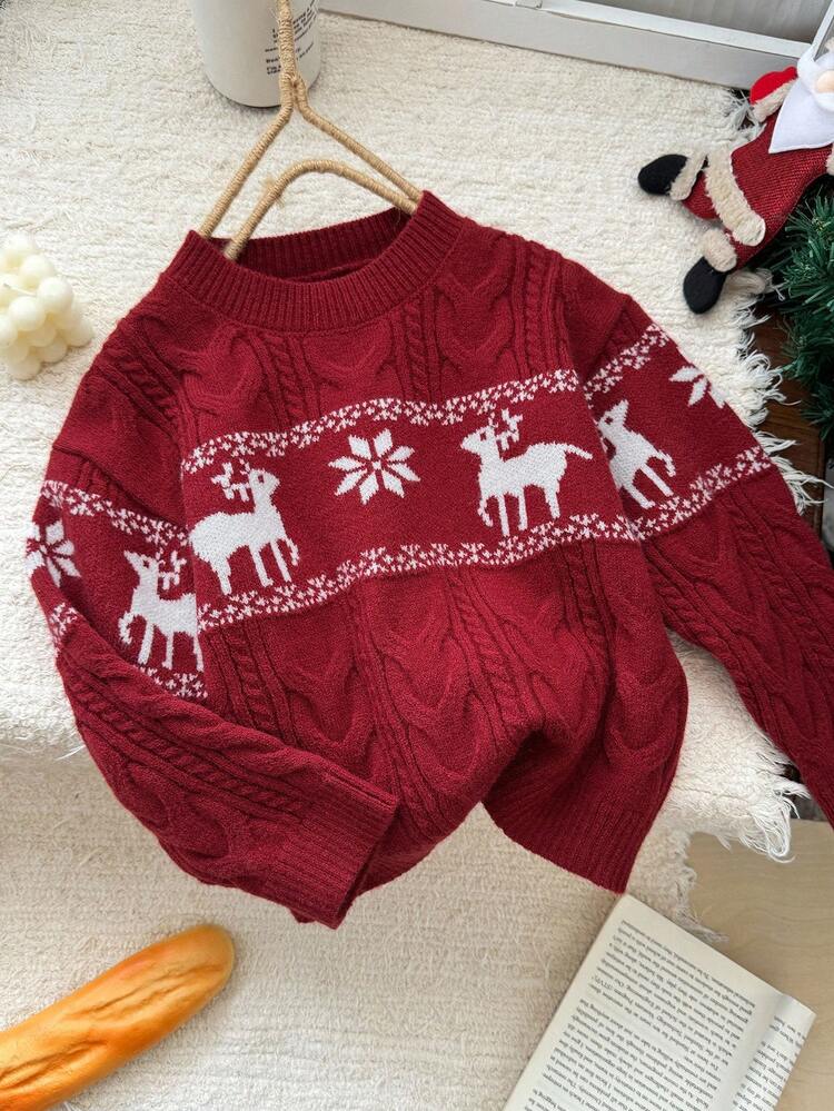 Young Boy Crew Neck Long Sleeve Color Block Sweater,New Year,Christmas