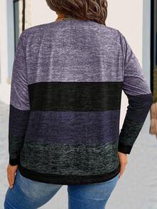 EMERY ROSE Plus Size Long Sleeve Colorblock Casual Retro V-Neck Tee, For Everyday Wear Women Tops For Spring - Multicolor - View 2
