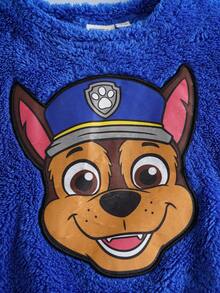 SHEIN | PAW Patrol Young Boy Casual Cartoon Character Round Neck Drop Shoulder Long Sleeve Coral Fleece Sweatshirt, Autumn/Winter Fall