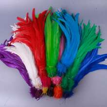 20pcs 25-45cm Wholesale Artificial Rooster Feathers Headwear Wedding Party Clothing DIY Plume Home Decoration Accessories - Multicolor - View 12