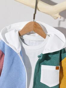 SHEIN Kids Boy Casual Street Style Corduroy Fabric Color Block Lapel Long Sleeve Button-Up Shirt, Suitable For School, Garden, Beach, Birthday, All Seasons - Multicolor - View 6